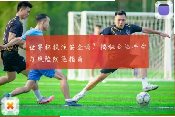 体育投注平台支付方式选错会损失本金吗？